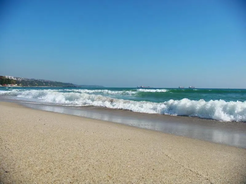By The Sea - Central With Free Parking Varna 0*,